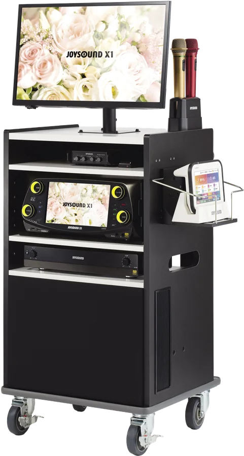 JOYSOUND X1